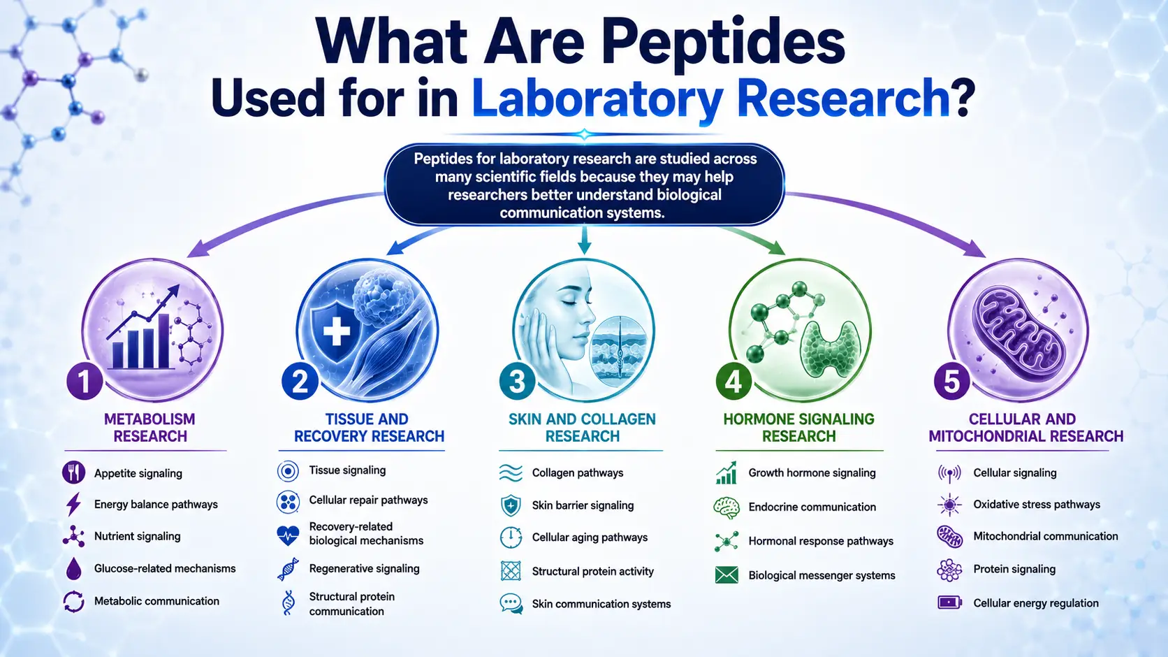 What Are Peptides Used for in Laboratory Research
