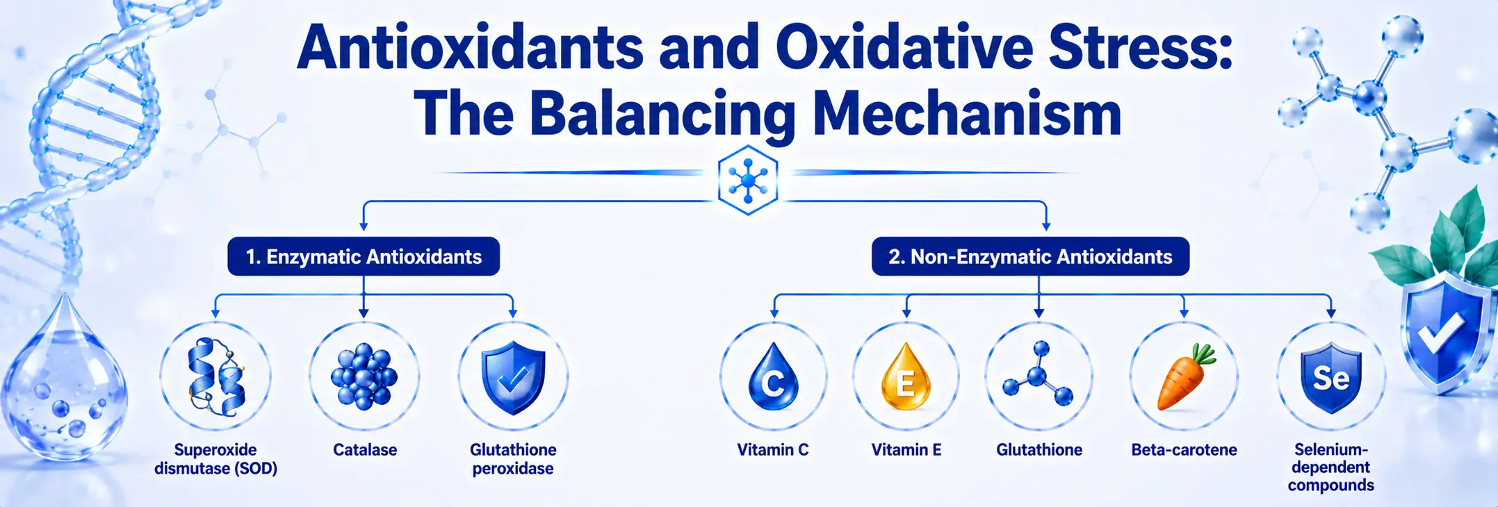 Antioxidant systems and reactive oxygen species maintaining cellular redox balance