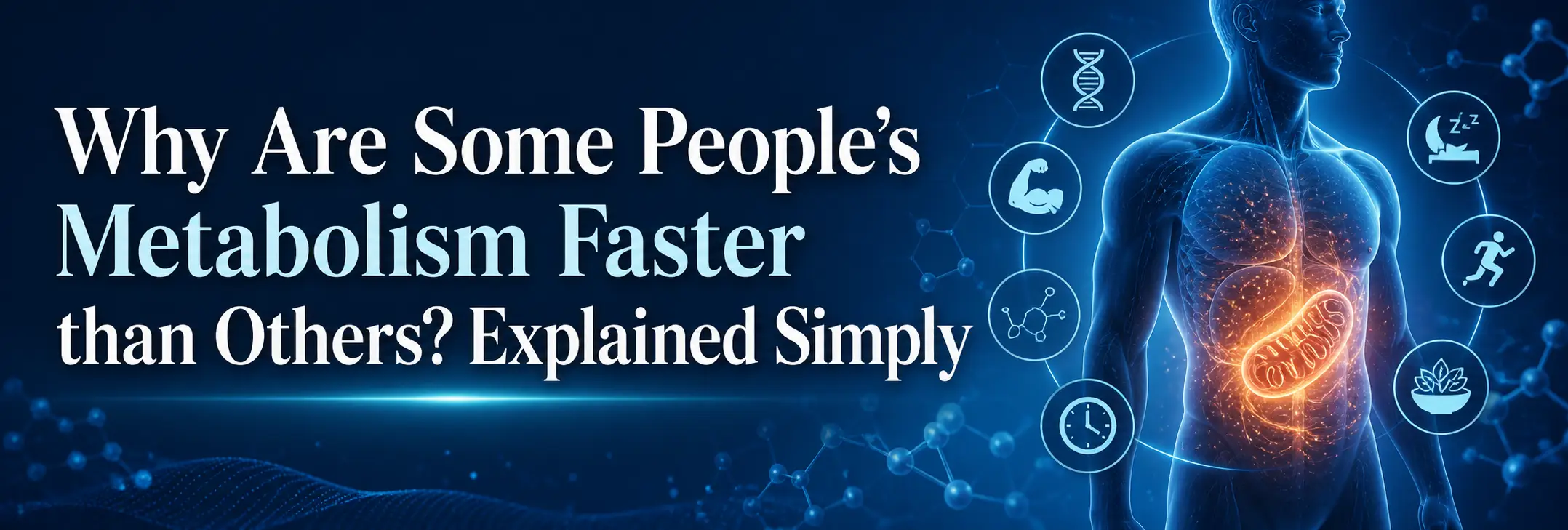 Why Are Some People’s Metabolism Faster than Others? Explained Simply