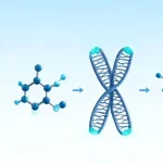 Epitalon vs NAD+ Research | Australia Peptide Sciences