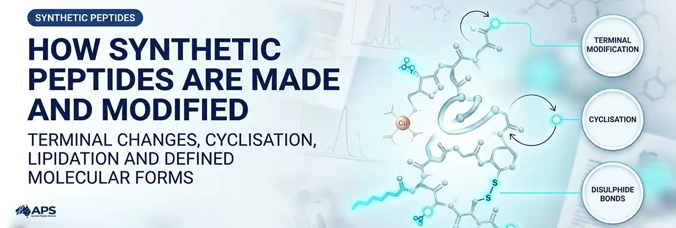 How Are Synthetic Peptides Made and Modified