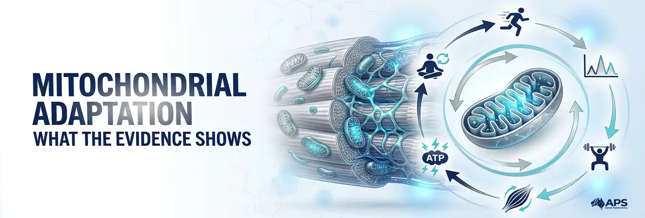 How to Increase Mitochondrial Biogenesis