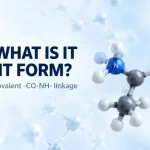 Peptide Bond: What Is It and How Does It Form?