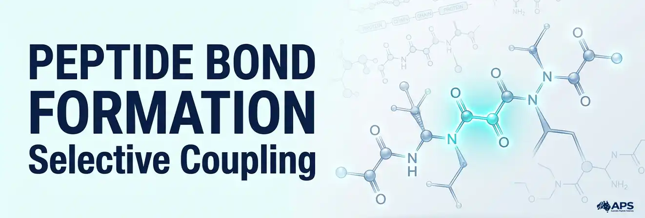 Peptide Bond Formation and the Need for Selective Coupling