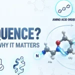 What Is a Peptide Sequence and Why Does It Matter?