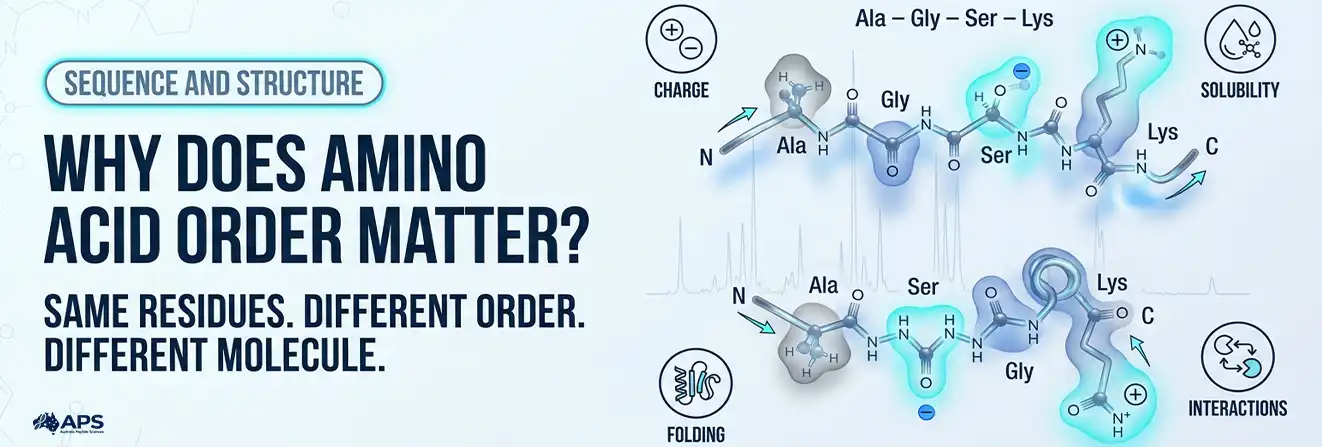 Why Does Amino Acid Order Matter