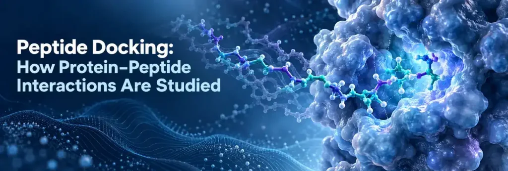 Peptide Docking