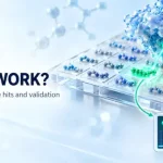 What Is a Peptide Library? Types, Screening Methods and Research Applications